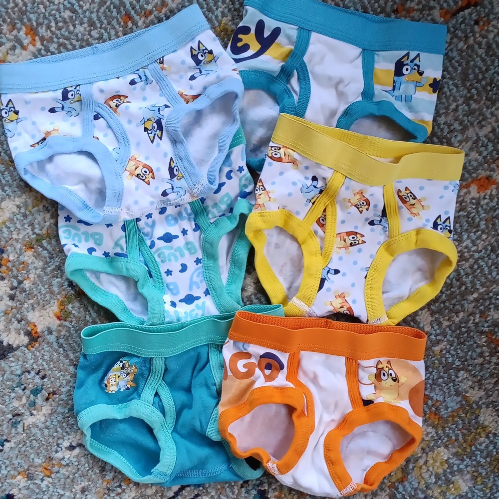 Bluey Toddler Undies